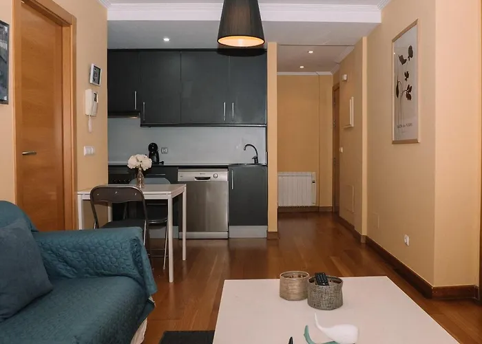 Daire Comodo Luminoso Y Centrico By Vigo